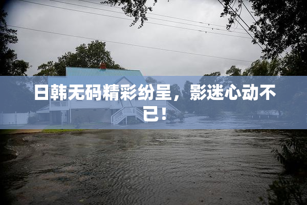 日韩无码精彩纷呈，影迷心动不已！