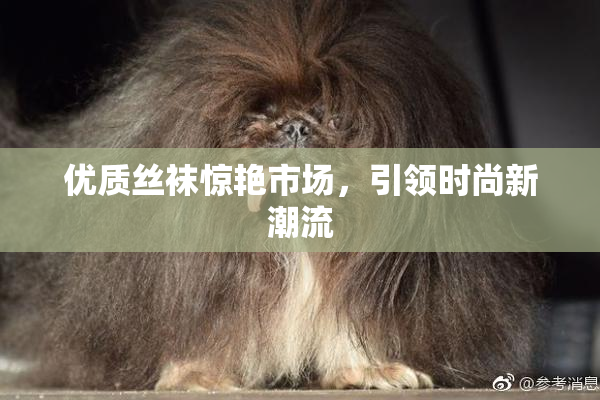 优质丝袜惊艳市场，引领时尚新潮流