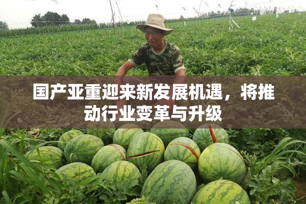 国产亚重迎来新发展机遇，将推动行业变革与升级