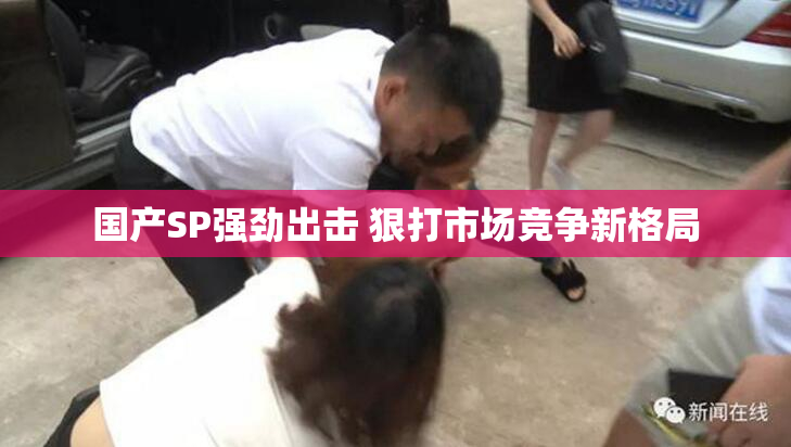 国产SP强劲出击 狠打市场竞争新格局