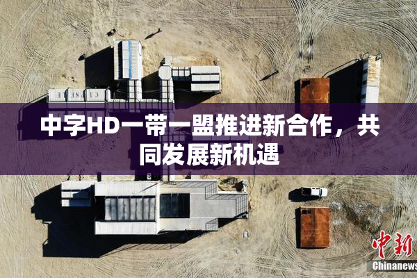 中字HD一带一盟推进新合作，共同发展新机遇