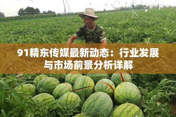 91精东传媒最新动态：行业发展与市场前景分析详解