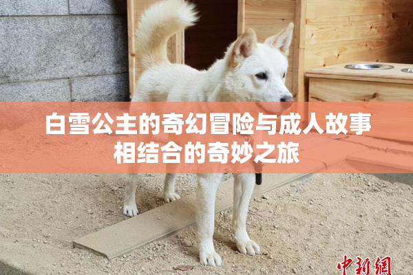 白雪公主的奇幻冒险与成人故事相结合的奇妙之旅