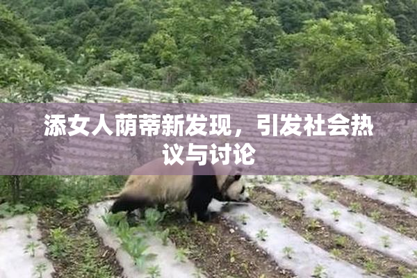 添女人荫蒂新发现，引发社会热议与讨论