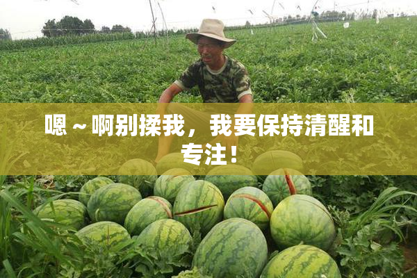 嗯～啊别揉我，我要保持清醒和专注！