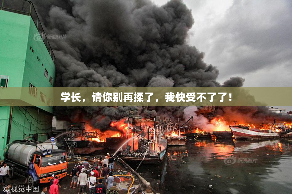 学长，请你别再揉了，我快受不了了！