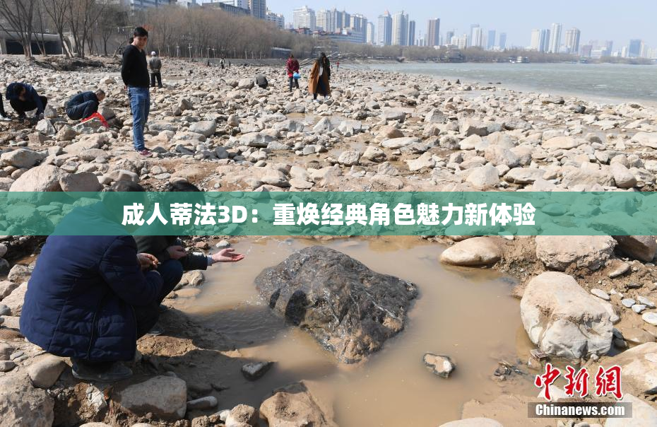 成人蒂法3D：重焕经典角色魅力新体验