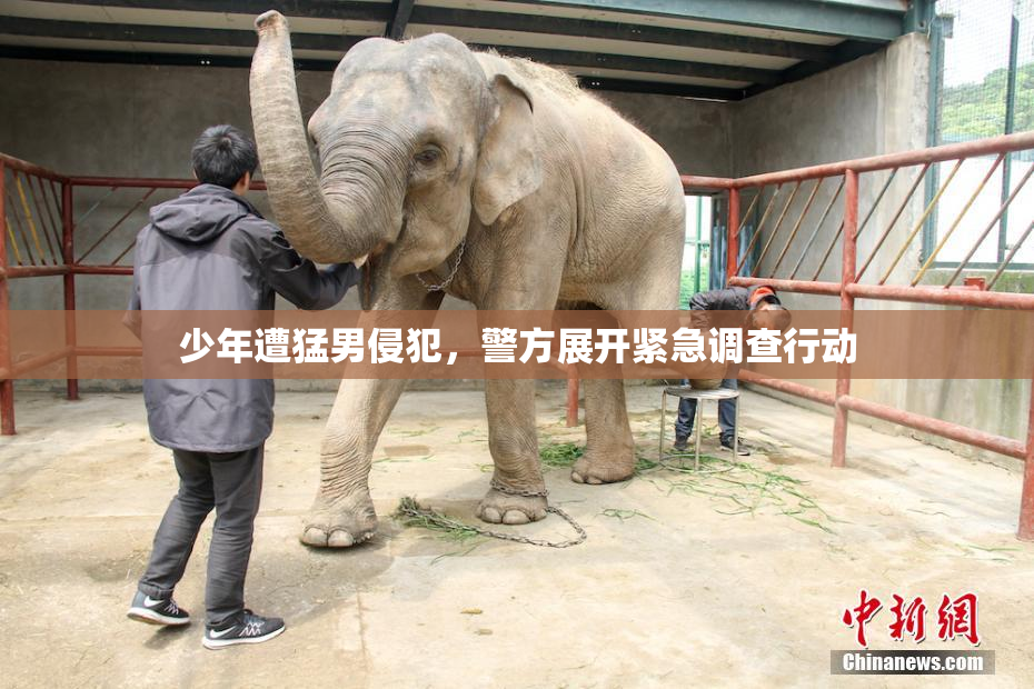 少年遭猛男侵犯，警方展开紧急调查行动