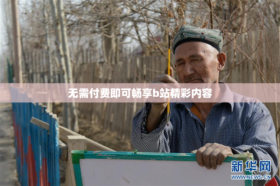 无需付费即可畅享b站精彩内容