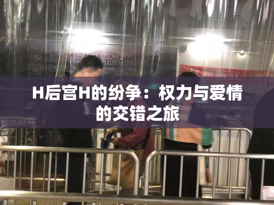 H后宫H的纷争：权力与爱情的交错之旅