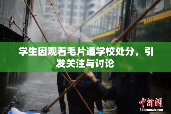 学生因观看毛片遭学校处分，引发关注与讨论
