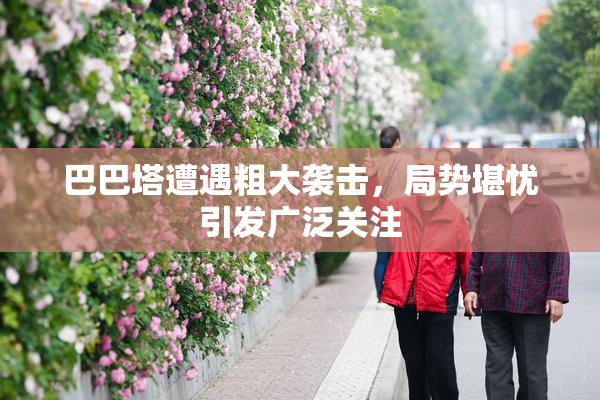 巴巴塔遭遇粗大袭击，局势堪忧引发广泛关注