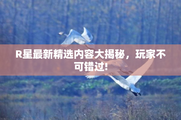 R星最新精选内容大揭秘，玩家不可错过!