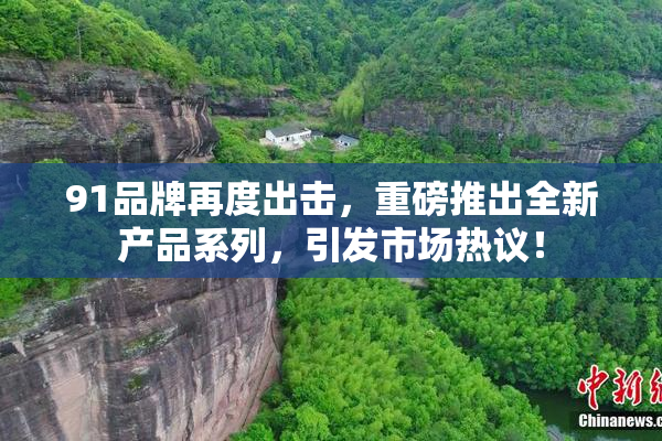 91品牌再度出击，重磅推出全新产品系列，引发市场热议！