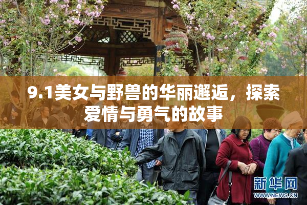 9.1美女与野兽的华丽邂逅，探索爱情与勇气的故事