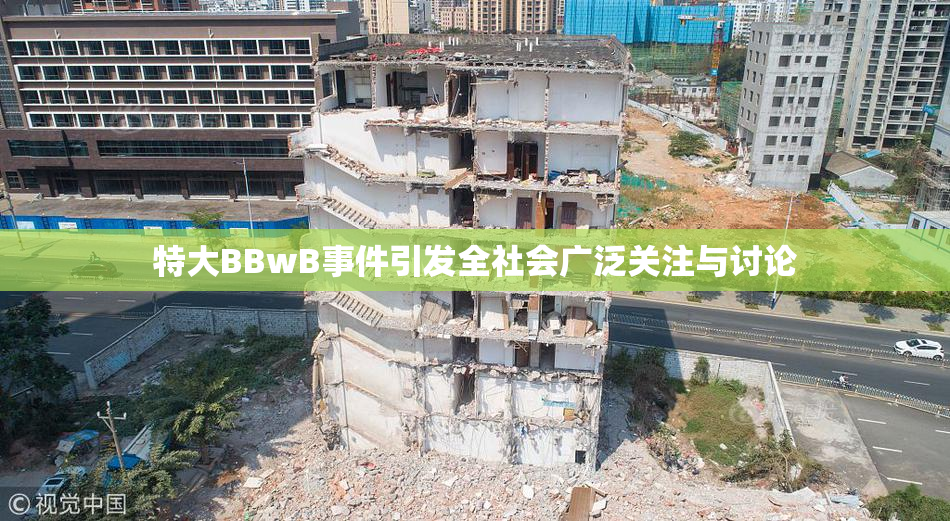特大BBwB事件引发全社会广泛关注与讨论
