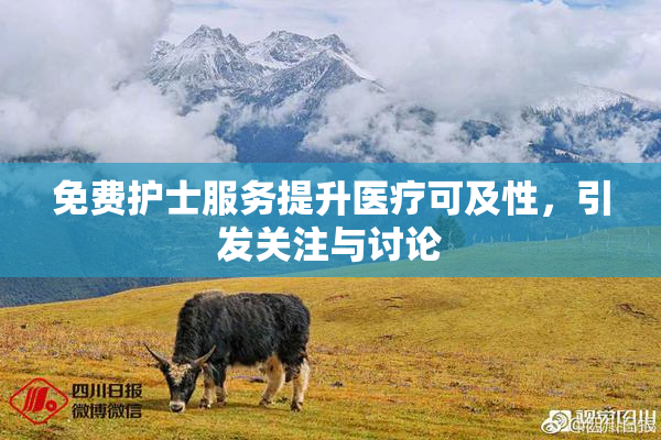 免费护士服务提升医疗可及性，引发关注与讨论