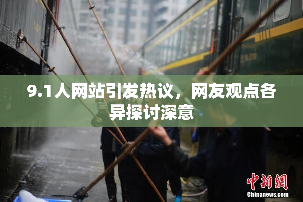 9.1人网站引发热议，网友观点各异探讨深意
