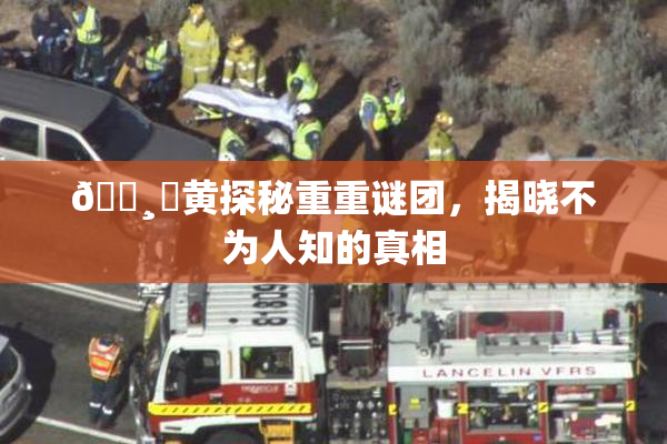 🌸‌黄探秘重重谜团，揭晓不为人知的真相