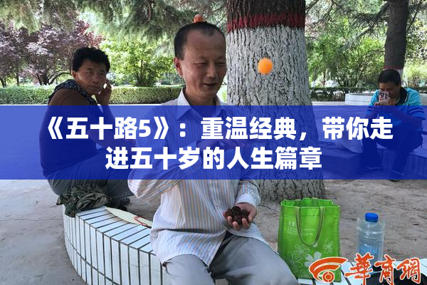 《五十路5》：重温经典，带你走进五十岁的人生篇章