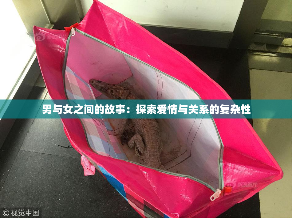 男与女之间的故事：探索爱情与关系的复杂性