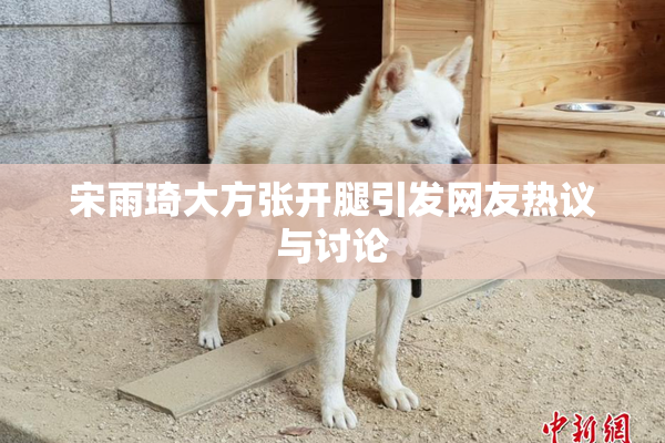 宋雨琦大方张开腿引发网友热议与讨论