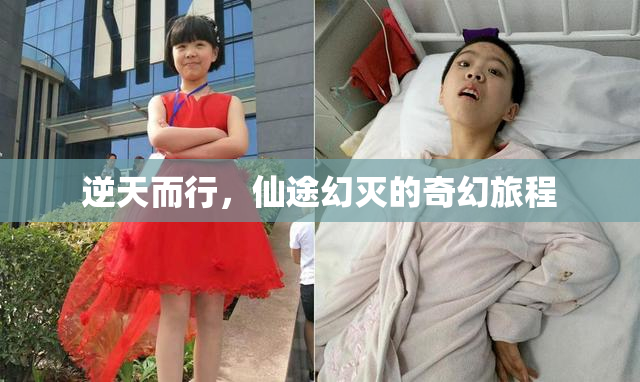 逆天而行，仙途幻灭的奇幻旅程