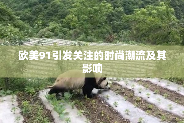 欧美91引发关注的时尚潮流及其影响