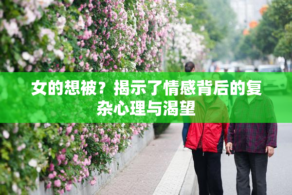 女的想被？揭示了情感背后的复杂心理与渴望
