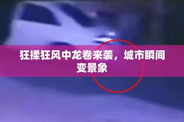 狂揉狂风中龙卷来袭，城市瞬间变景象