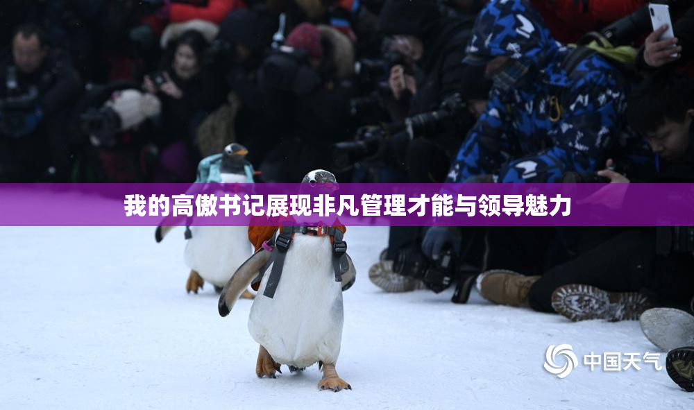我的高傲书记展现非凡管理才能与领导魅力