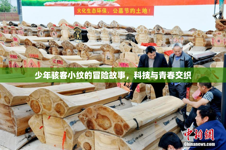 少年骇客小纹的冒险故事，科技与青春交织