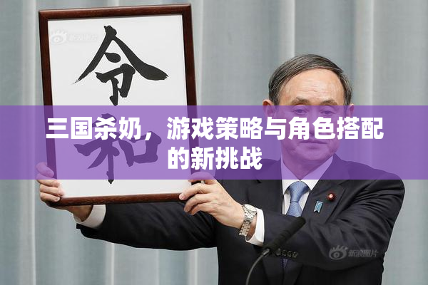 三国杀奶，游戏策略与角色搭配的新挑战