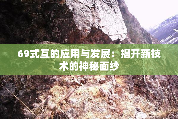 69式互的应用与发展：揭开新技术的神秘面纱