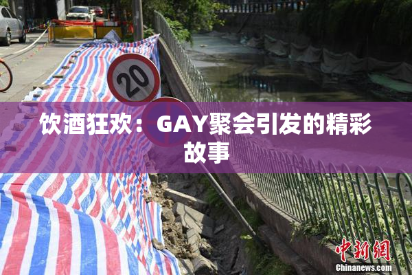 饮酒狂欢：GAY聚会引发的精彩故事