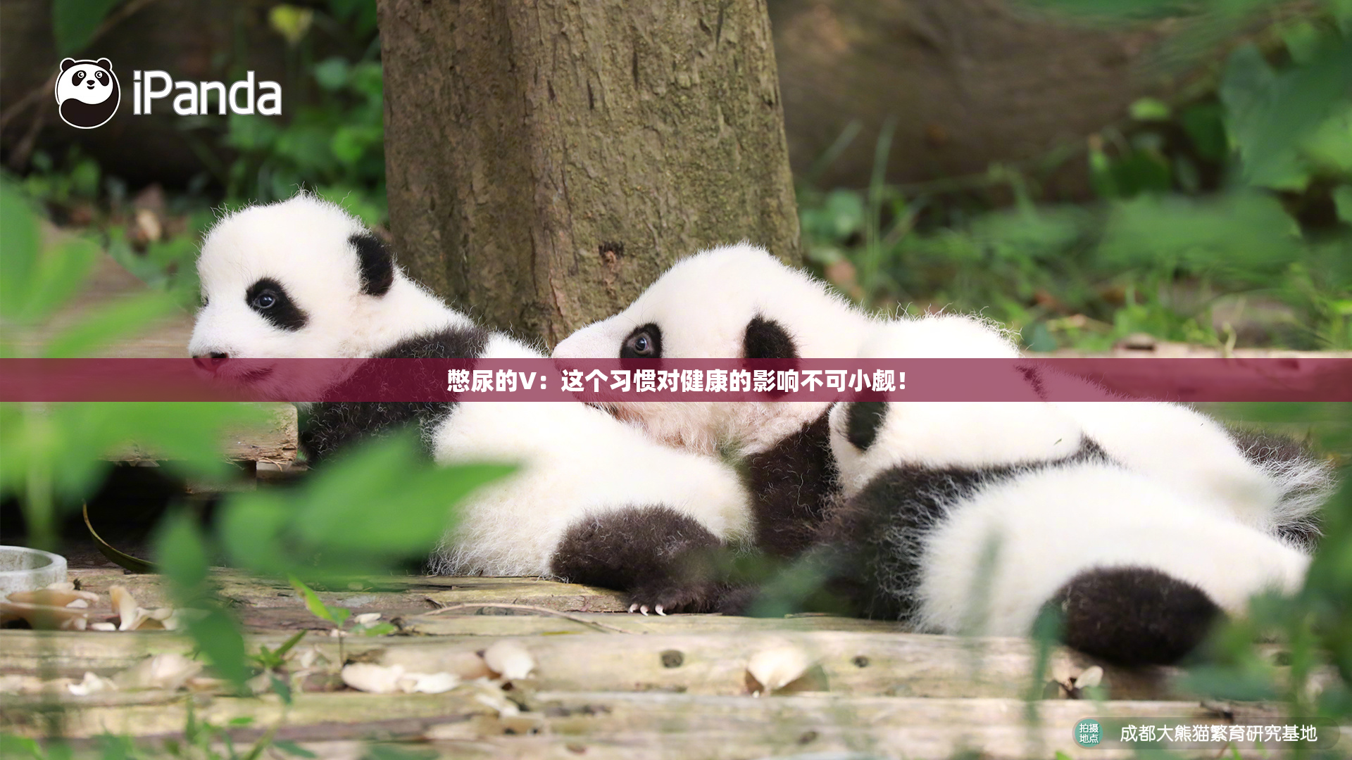 憋尿的V：这个习惯对健康的影响不可小觑！