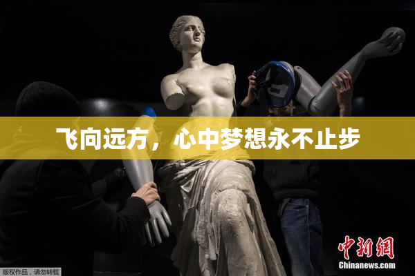 飞向远方，心中梦想永不止步