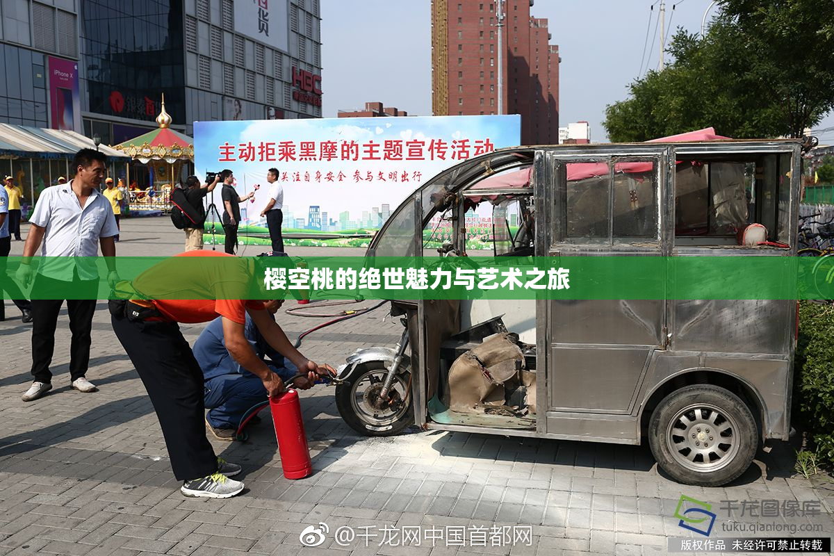 樱空桃的绝世魅力与艺术之旅