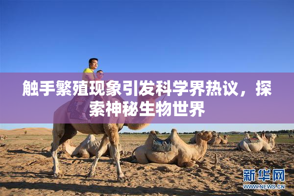 触手繁殖现象引发科学界热议，探索神秘生物世界