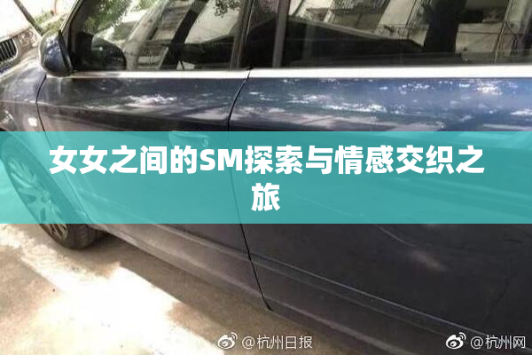 女女之间的SM探索与情感交织之旅