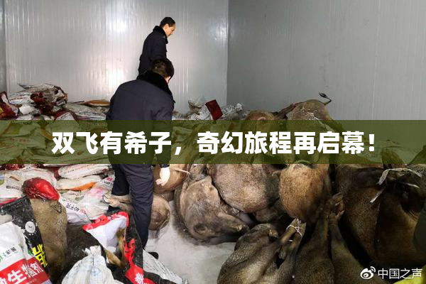 双飞有希子，奇幻旅程再启幕！