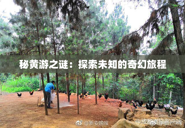 秘黄游之谜：探索未知的奇幻旅程
