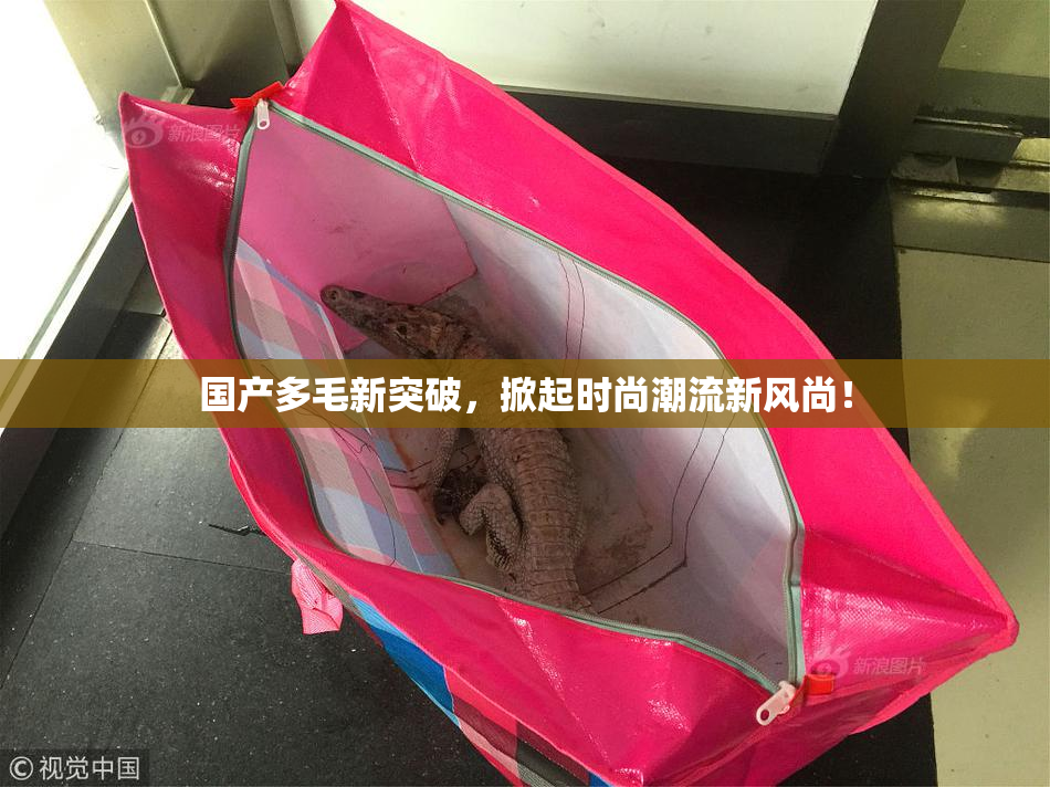 国产多毛新突破，掀起时尚潮流新风尚！