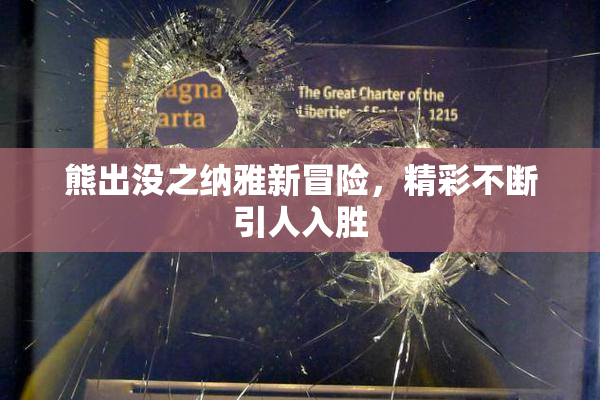 熊出没之纳雅新冒险，精彩不断引人入胜