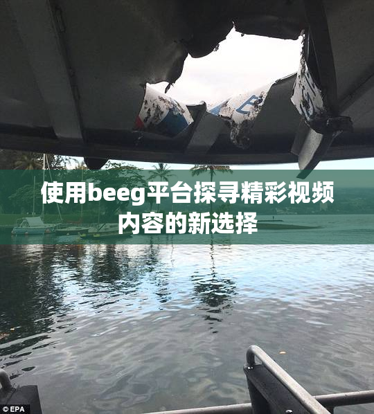 使用beeg平台探寻精彩视频内容的新选择