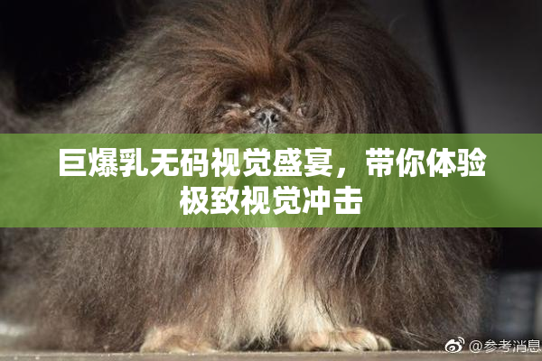 巨爆乳无码视觉盛宴，带你体验极致视觉冲击