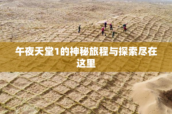 午夜天堂1的神秘旅程与探索尽在这里