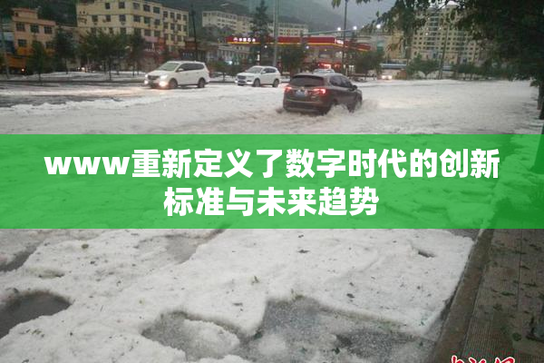 www重新定义了数字时代的创新标准与未来趋势