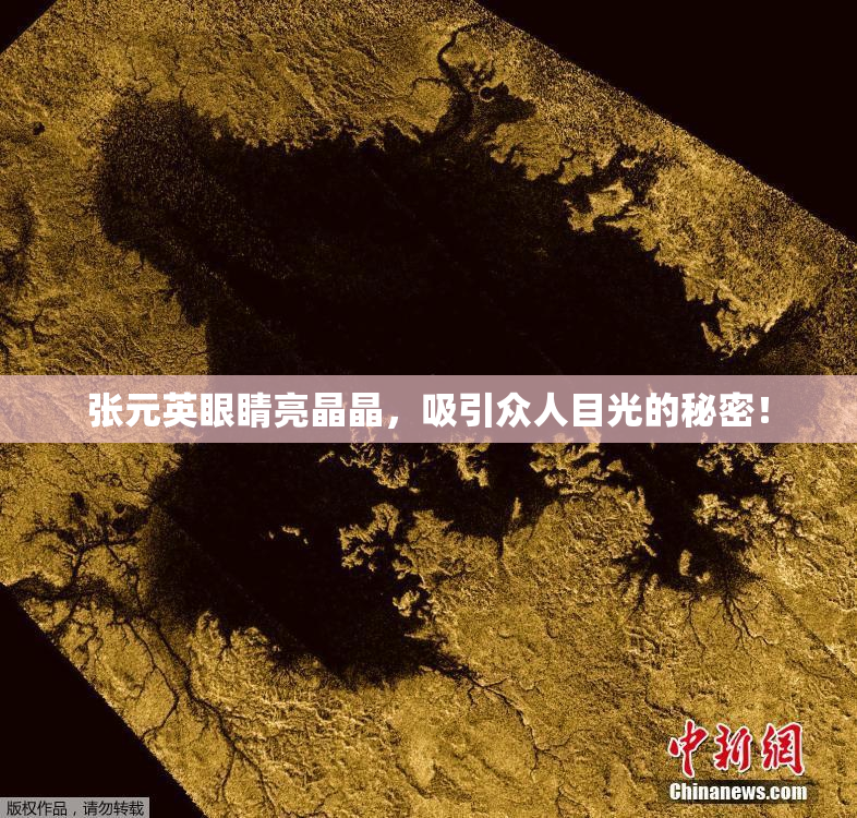 张元英眼睛亮晶晶，吸引众人目光的秘密！
