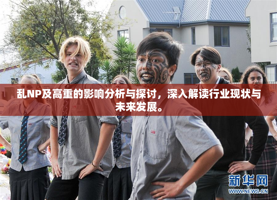 乱NP及高重的影响分析与探讨，深入解读行业现状与未来发展。